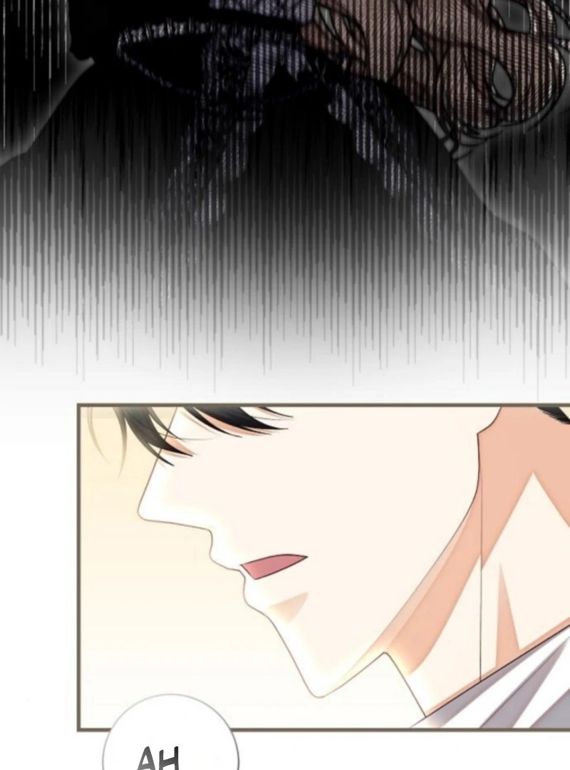 I Became the Mother of the Supporting Male Lead’s Son Chapter 48 page 11 - 