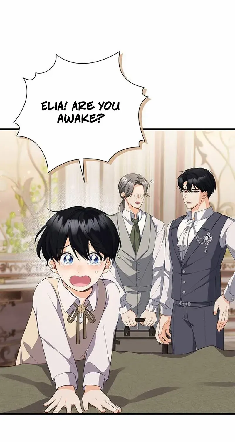 I Became the Mother of the Supporting Male Lead’s Son Chapter 5 page 17 - 