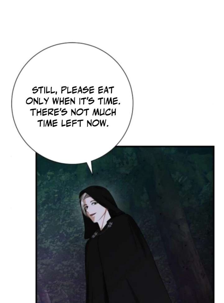 I Became the Mother of the Supporting Male Lead’s Son Chapter 50 page 9 - 