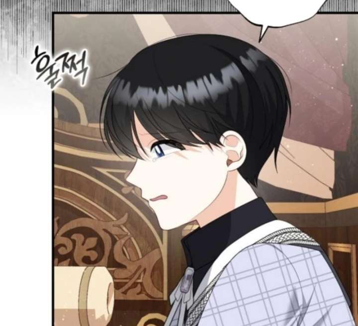 I Became the Mother of the Supporting Male Lead’s Son Chapter 51 page 68 - 