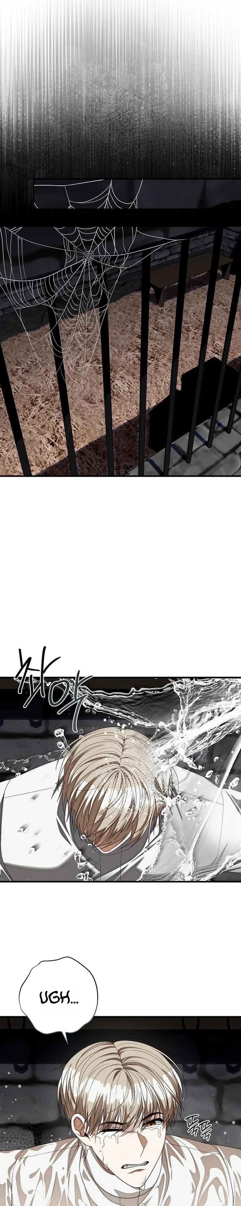 I Became the Mother of the Supporting Male Lead’s Son Chapter 79 page 12 - 