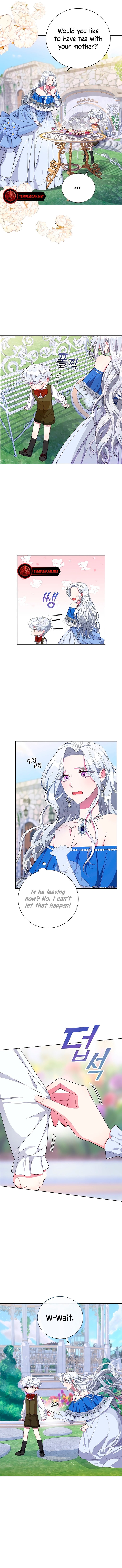 I Became the Mother of the Tragic Male Lead Chapter 1 page 17 - 