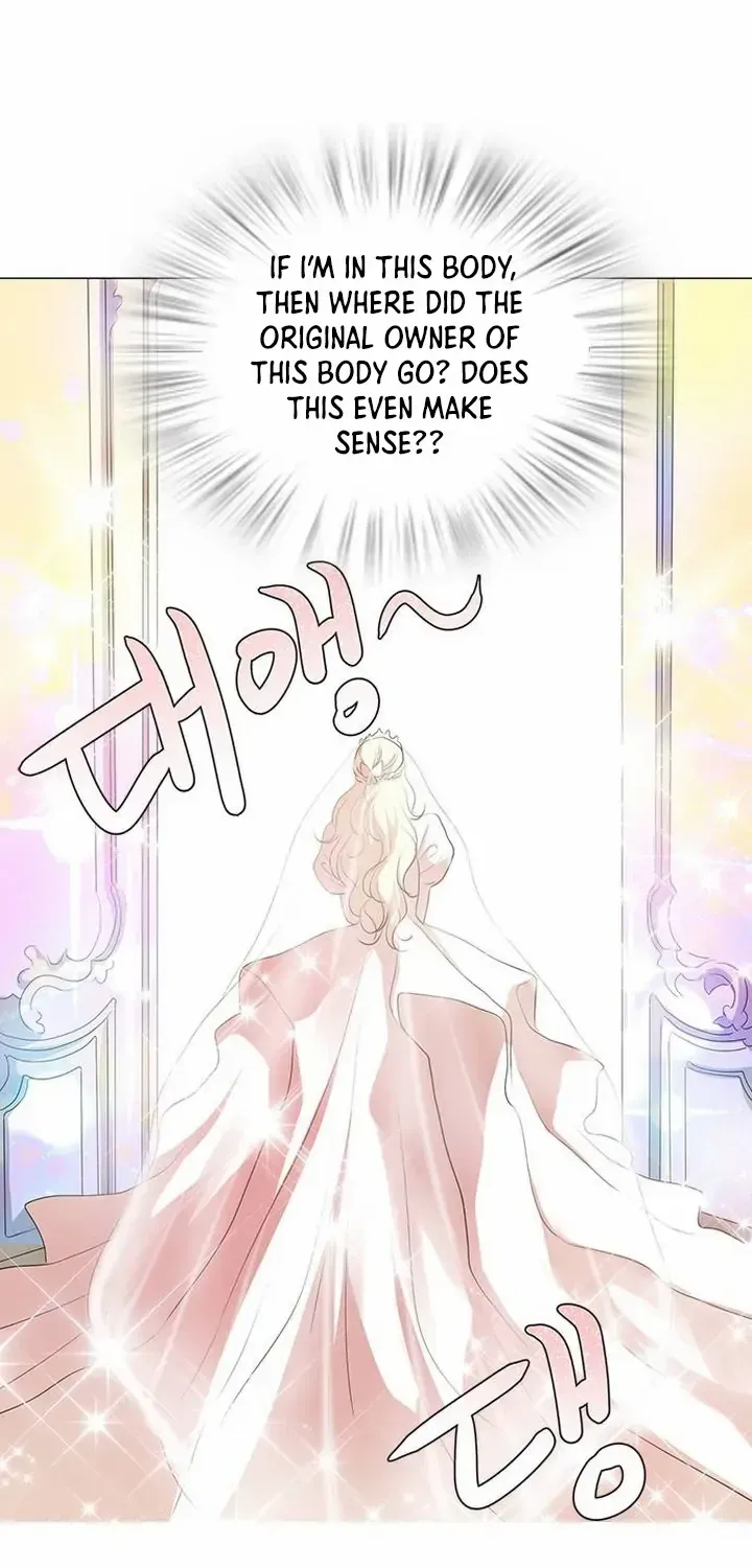 I Became the Rabbit Heroine