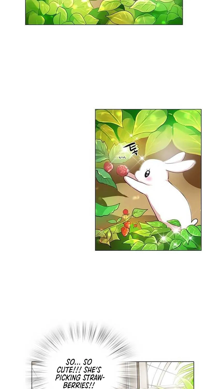 I Became the Rabbit Heroine