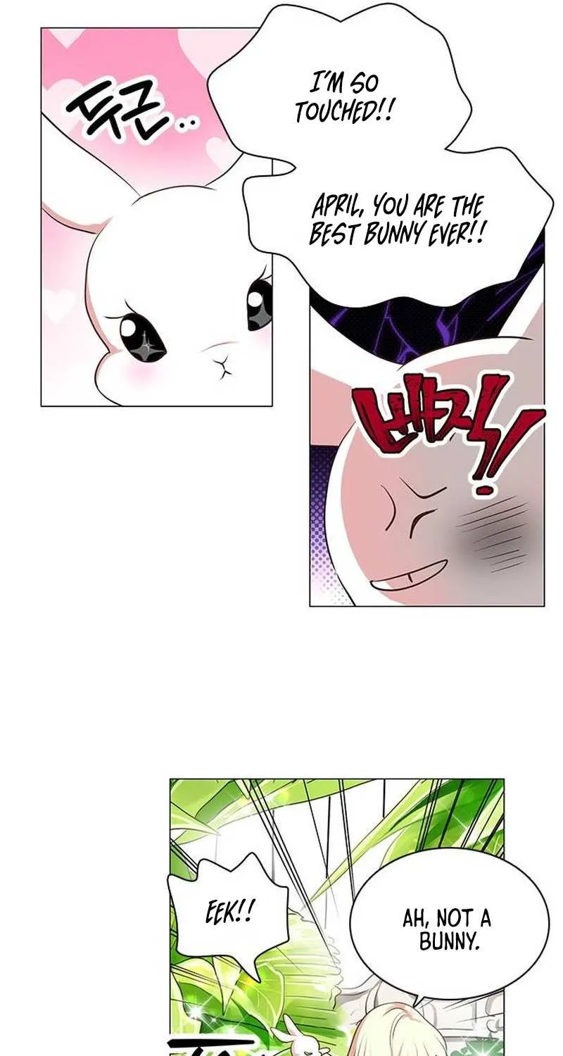 I Became the Rabbit Heroine