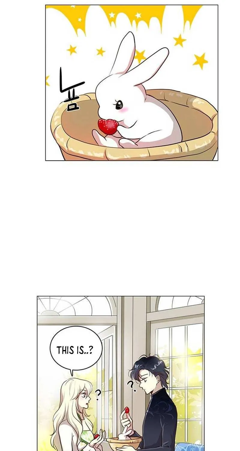 I Became the Rabbit Heroine