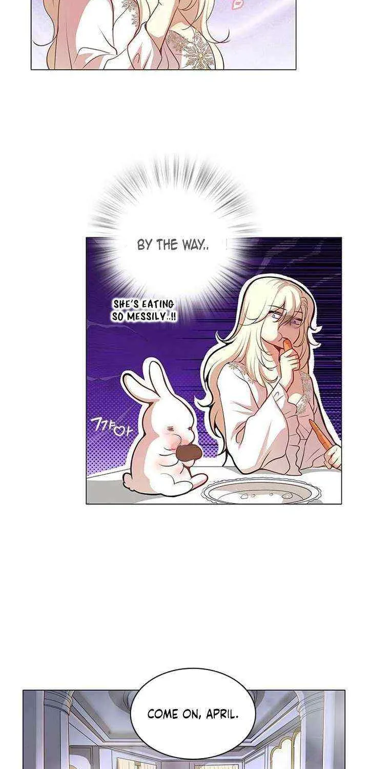 I Became the Rabbit Heroine