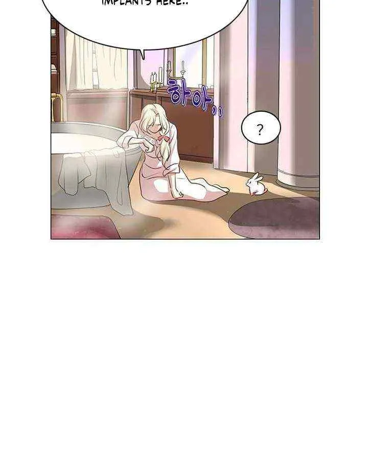 I Became the Rabbit Heroine