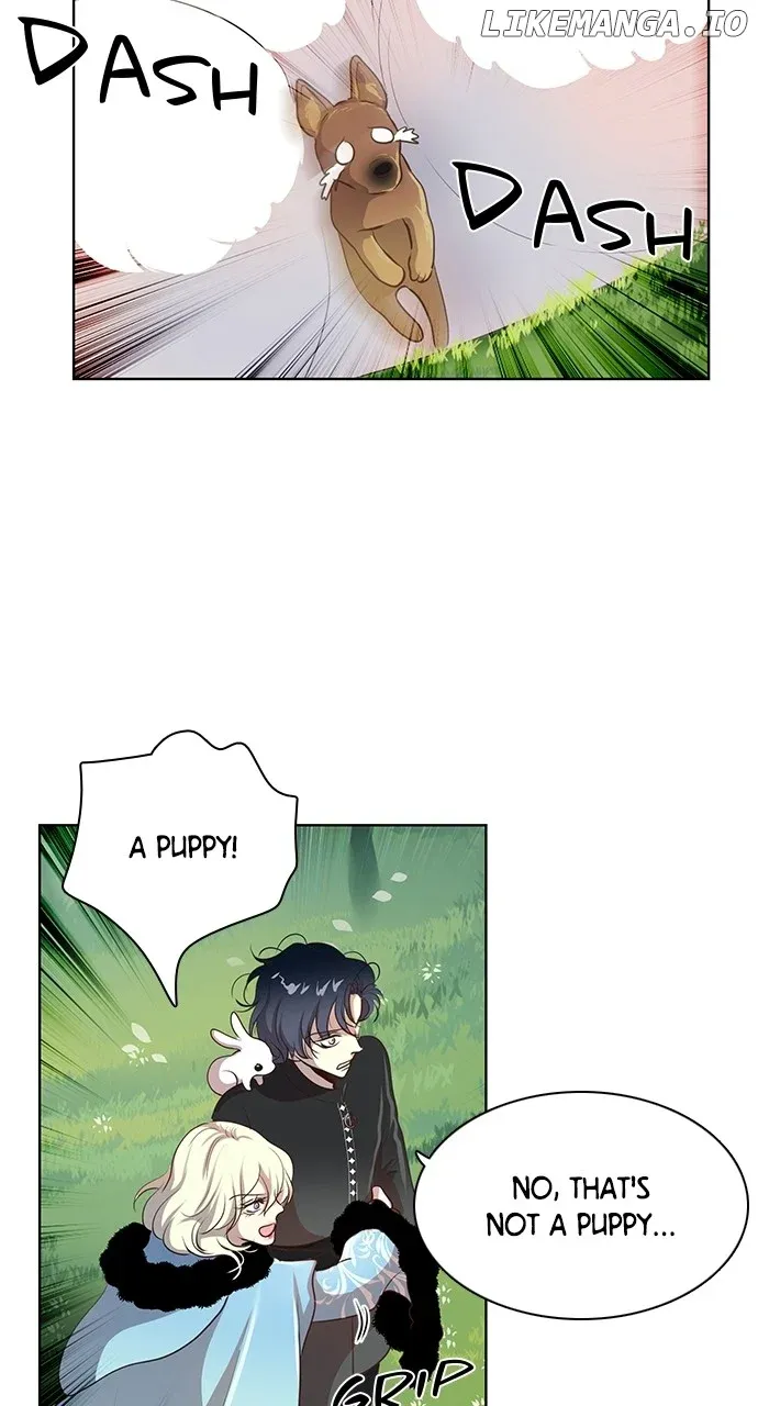 I Became the Rabbit Heroine