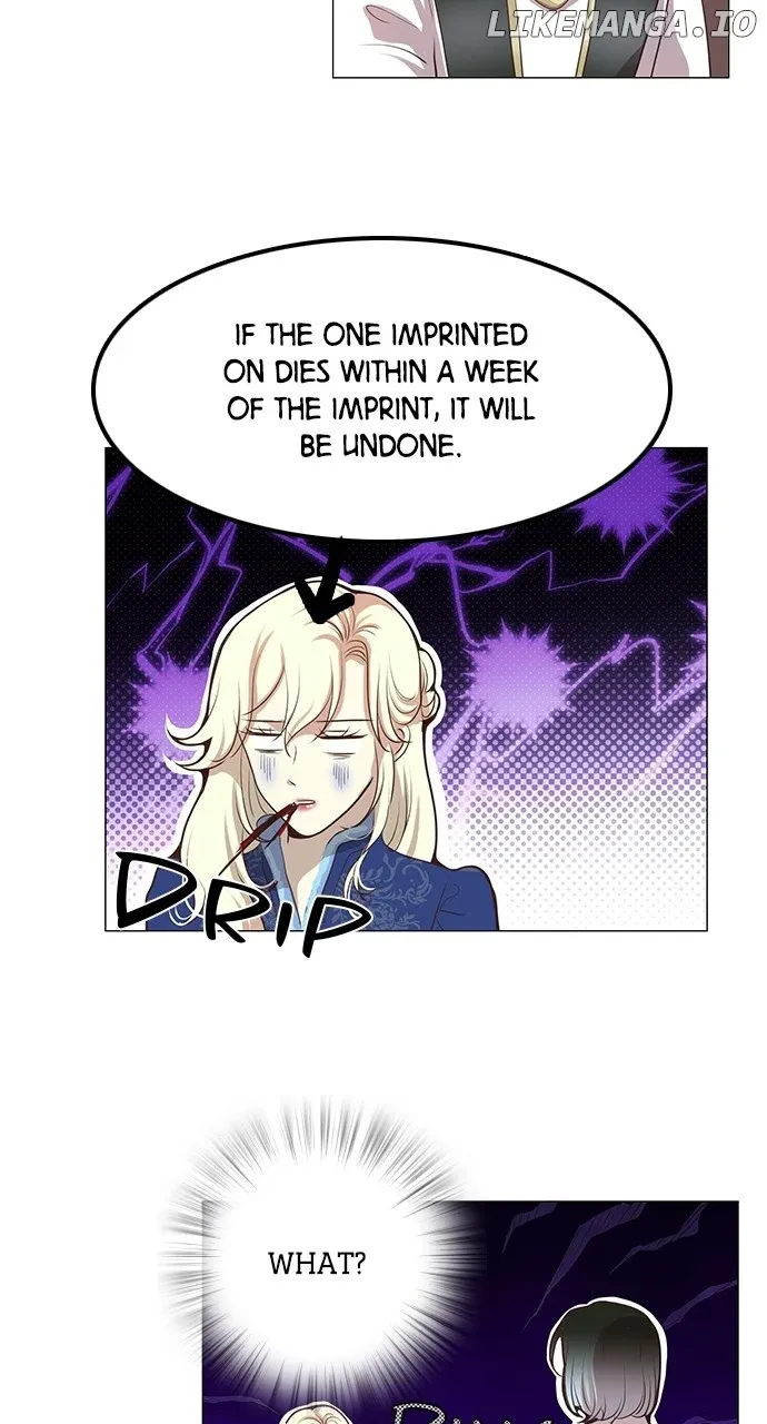 I Became the Rabbit Heroine