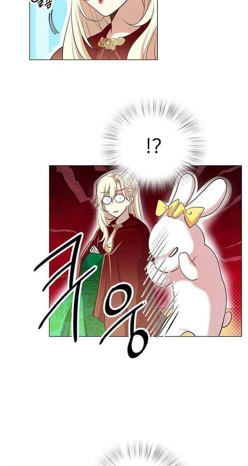 I Became the Rabbit Heroine