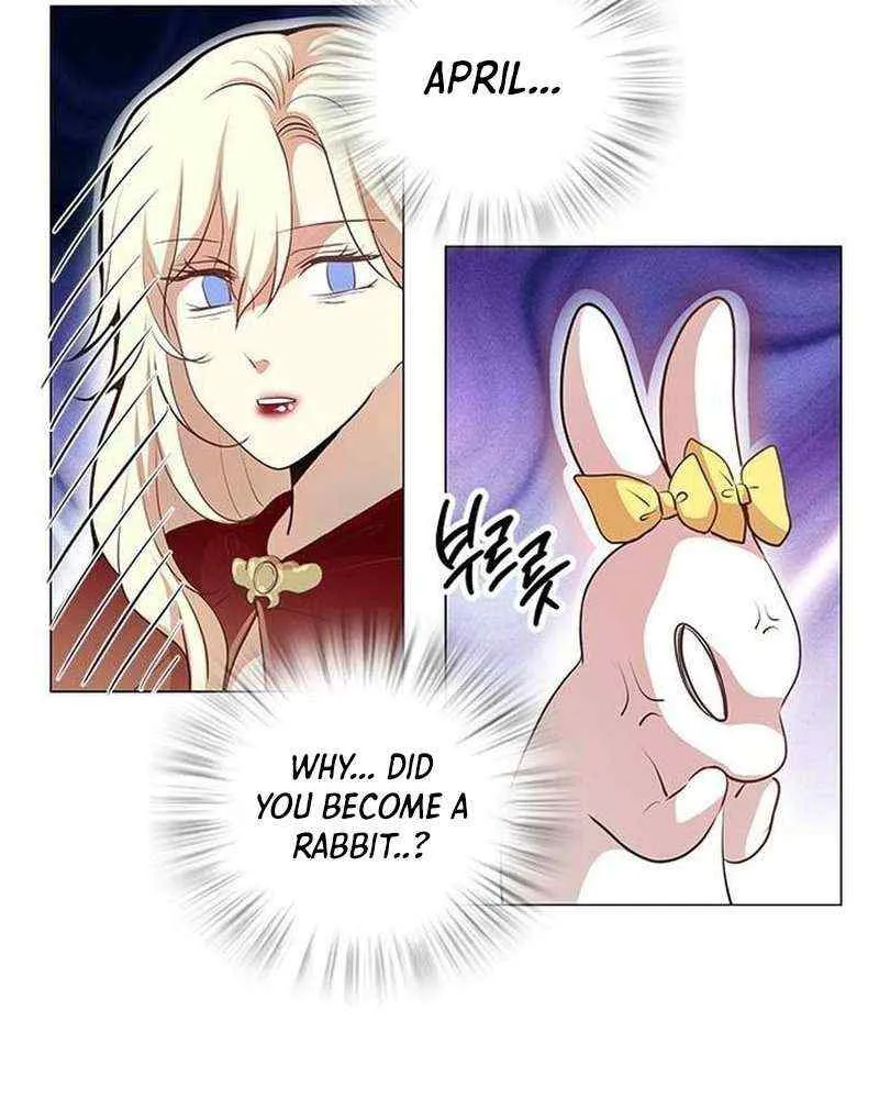 I Became the Rabbit Heroine