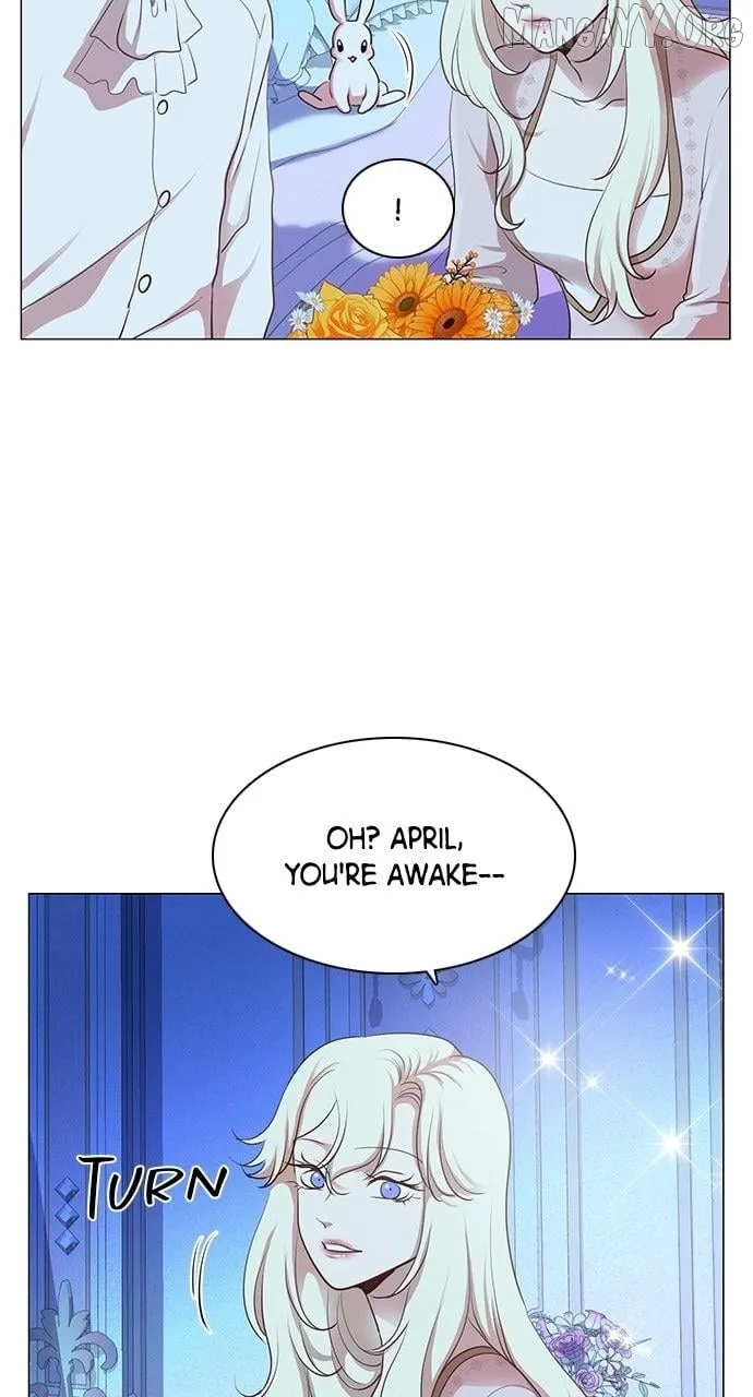I Became the Rabbit Heroine