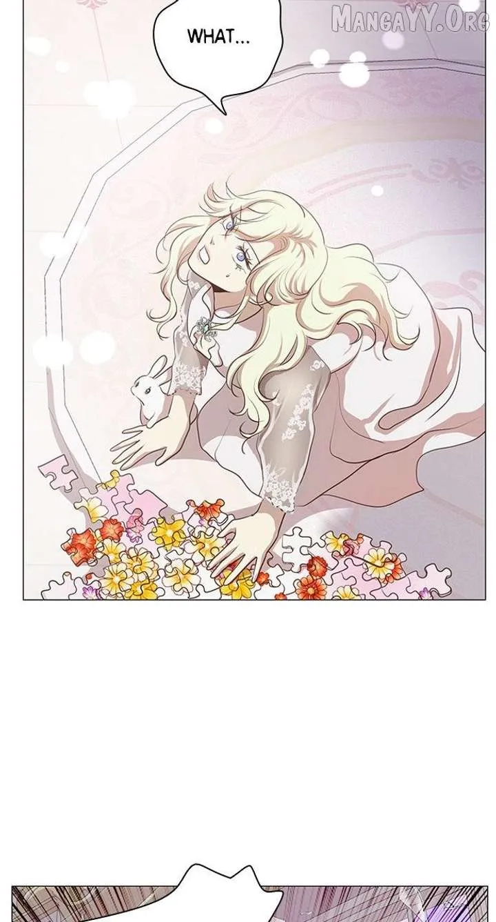 I Became the Rabbit Heroine