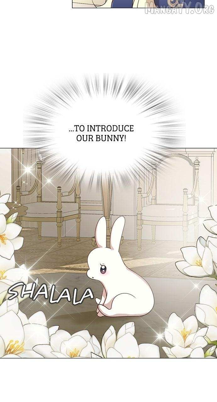 I Became the Rabbit Heroine