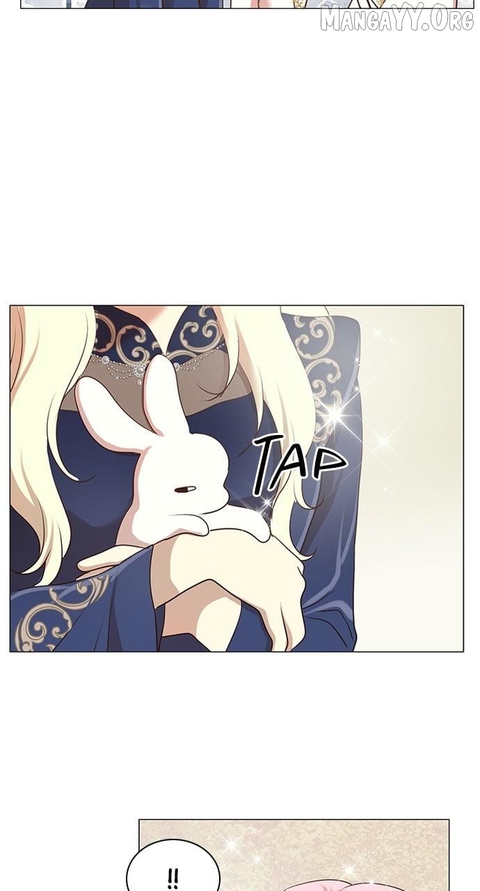 I Became the Rabbit Heroine