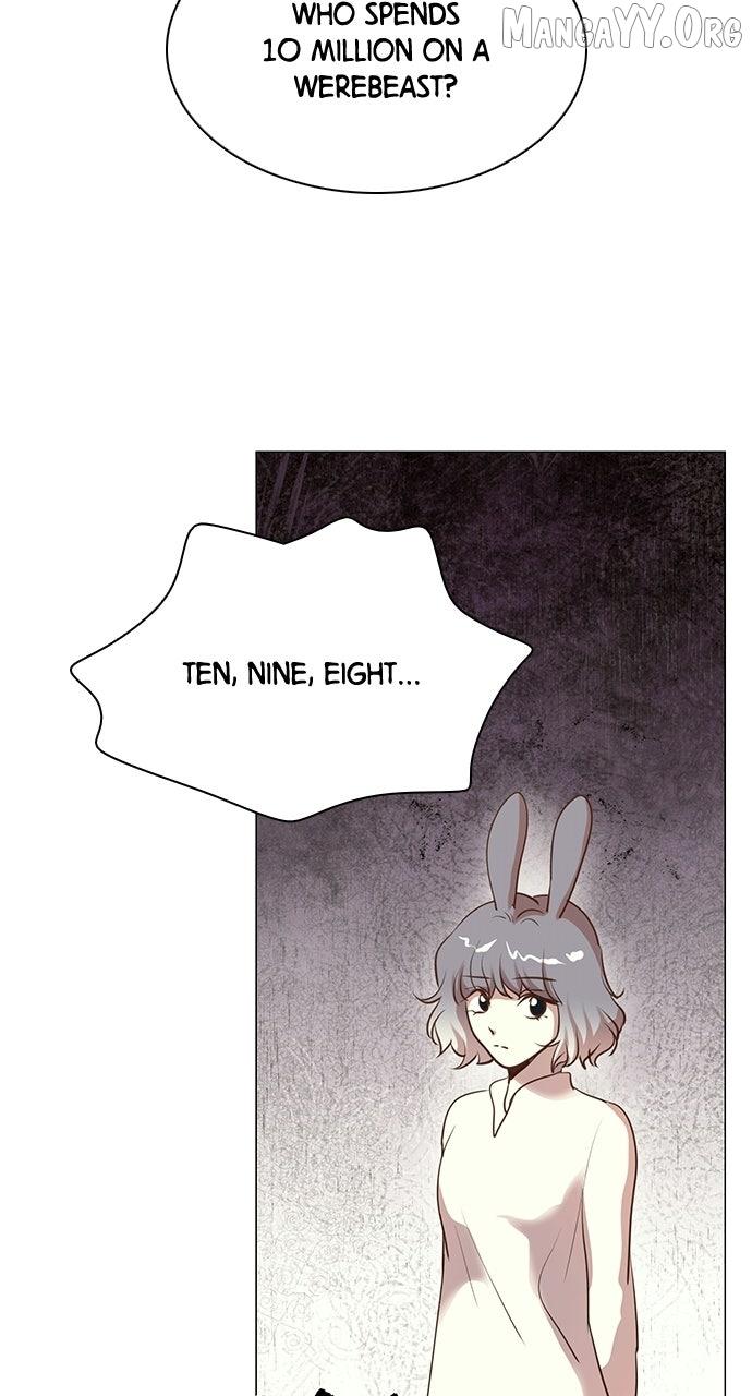 I Became the Rabbit Heroine
