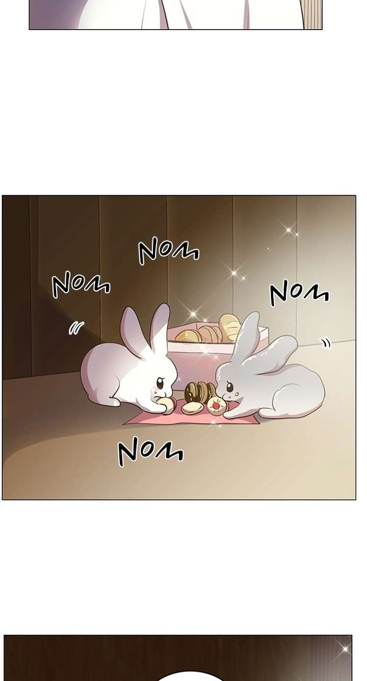 I Became the Rabbit Heroine