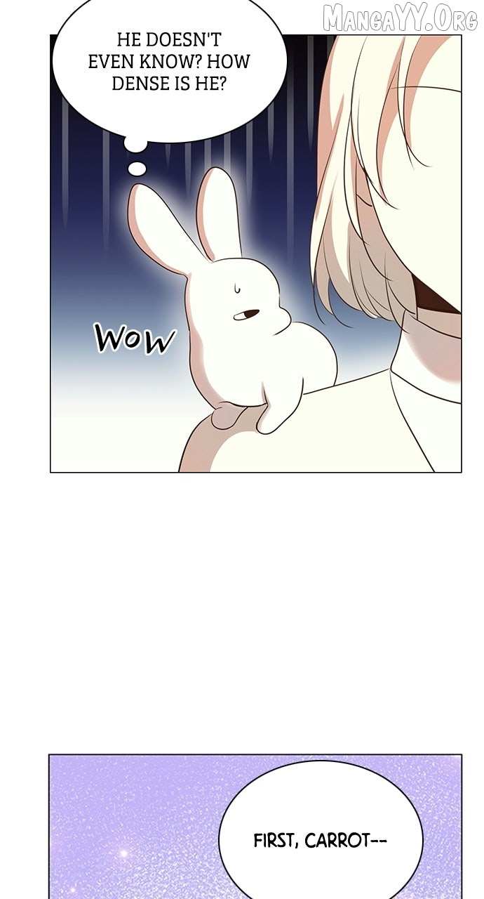 I Became the Rabbit Heroine
