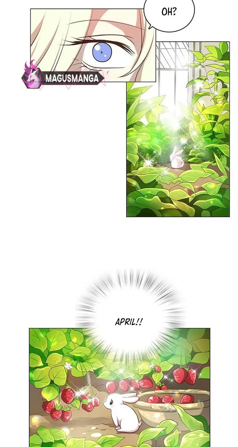 I Became the Rabbit Heroine’s Stepmother Chapter 11 page 13 - 