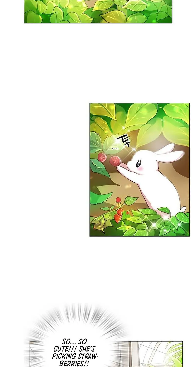 I Became the Rabbit Heroine’s Stepmother Chapter 11 page 14 - 