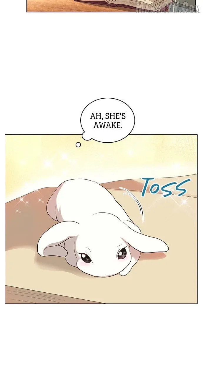 I Became the Rabbit Heroine’s Stepmother Chapter 68 page 37 - 
