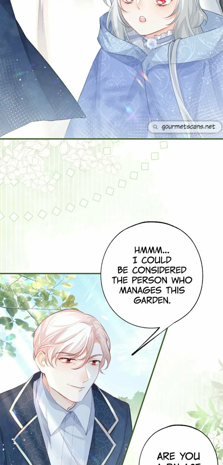 I Became the Sacrificial Princess (Colored) Chapter 17 page 3 - 
