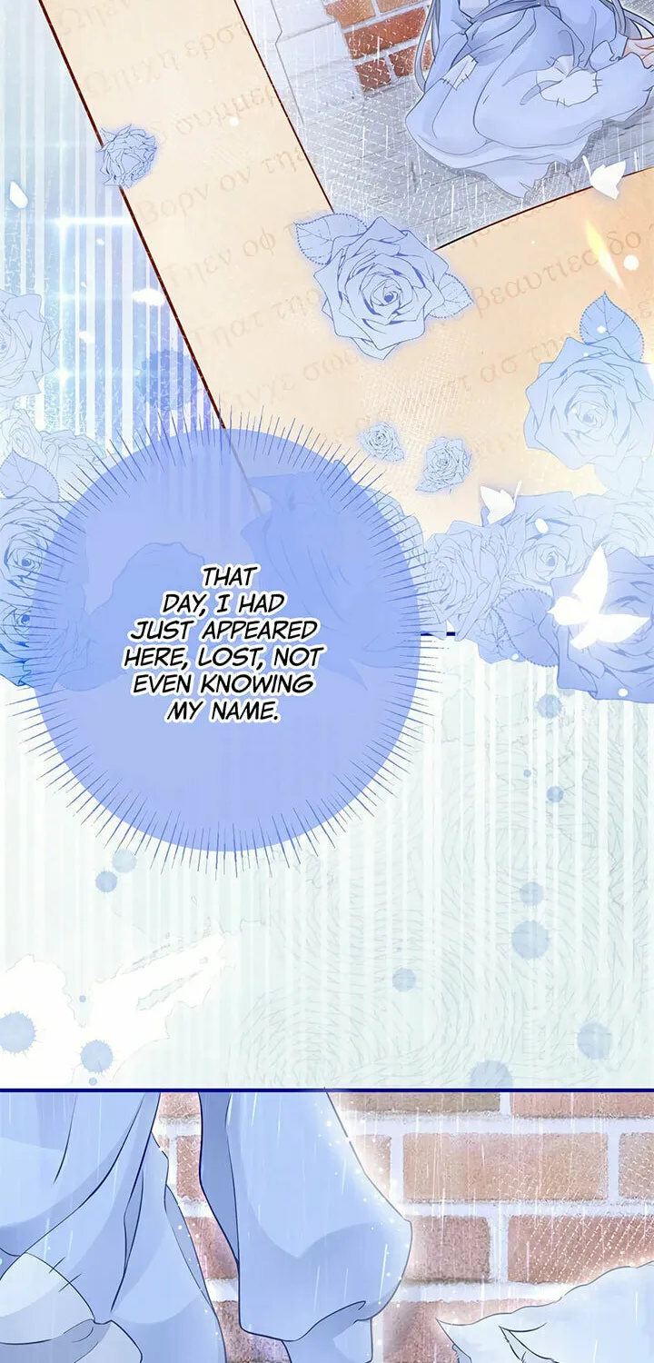 I Became the Sacrificial Princess (Colored) Chapter 6 page 12 - 