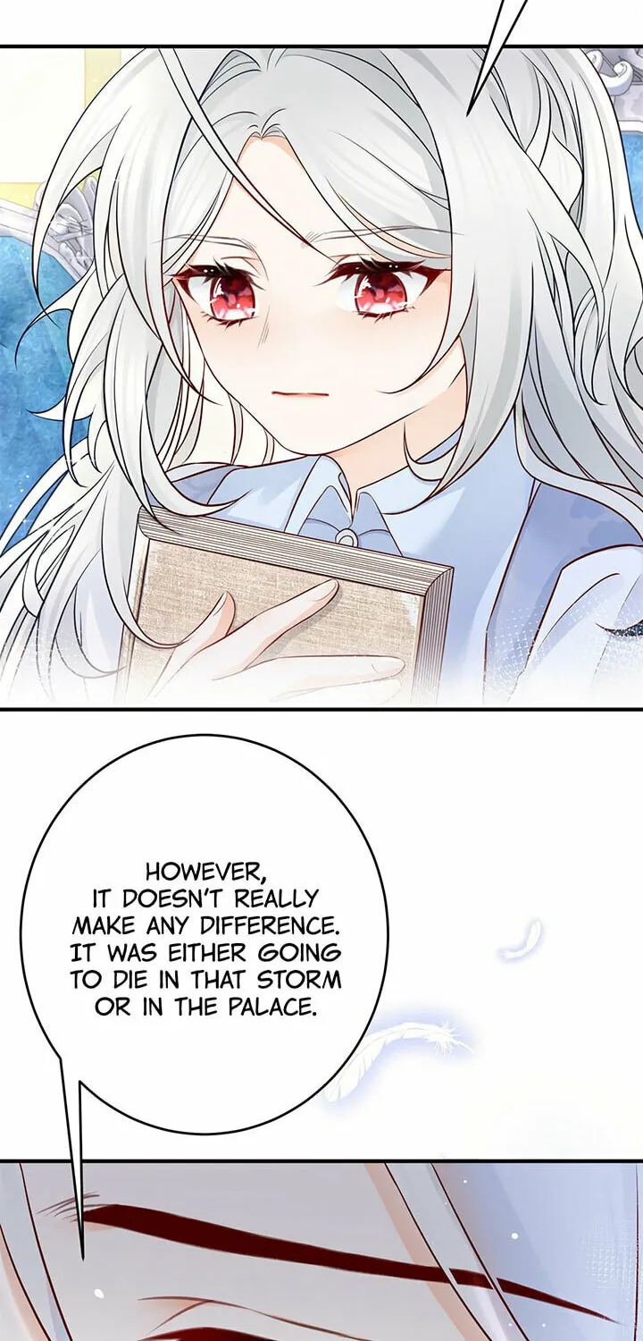 I Became the Sacrificial Princess (Colored) Chapter 6 page 31 - 