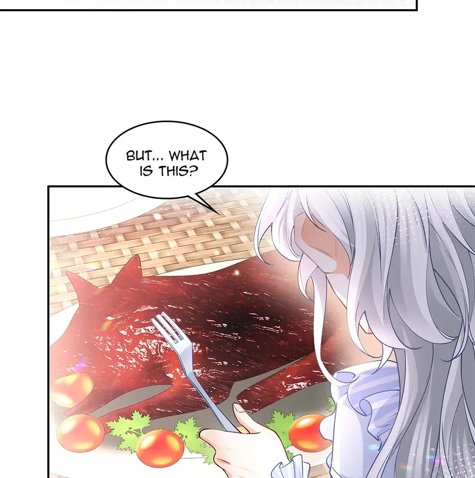 I Became the Sacrificial Princess Chapter 125 page 66 - 