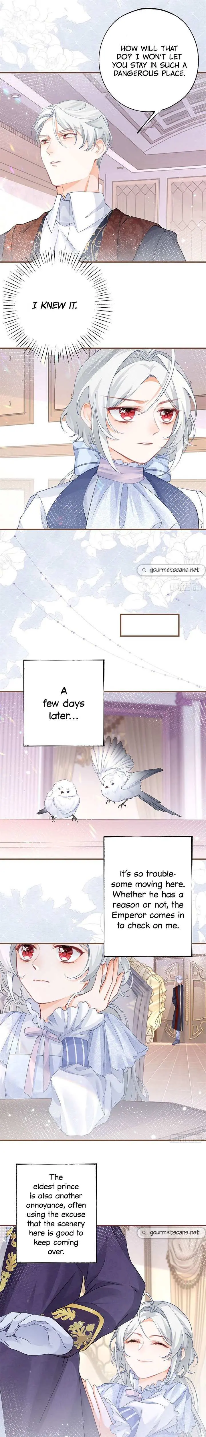 I Became the Sacrificial Princess Chapter 34 page 3 - 