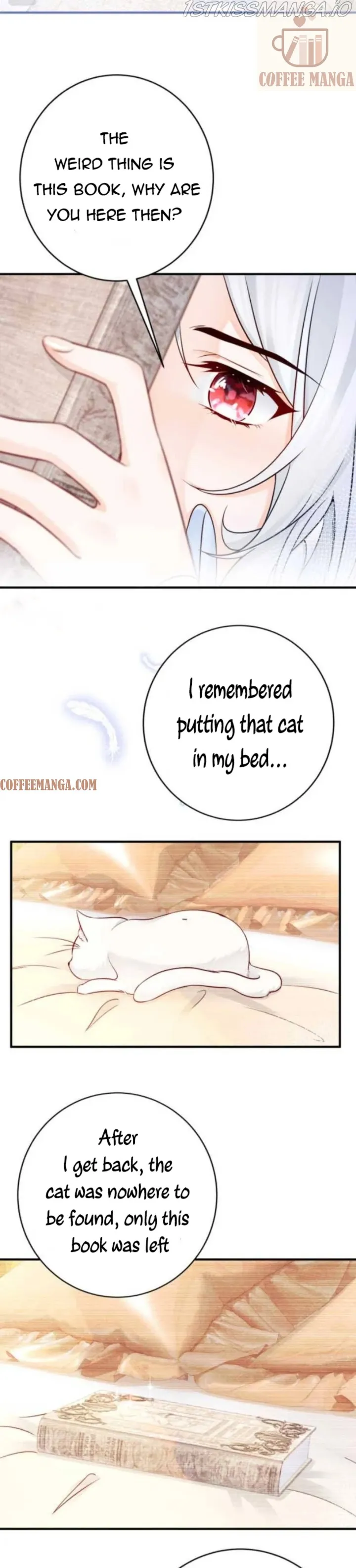 I Became the Sacrificial Princess Chapter 6 page 19 - 