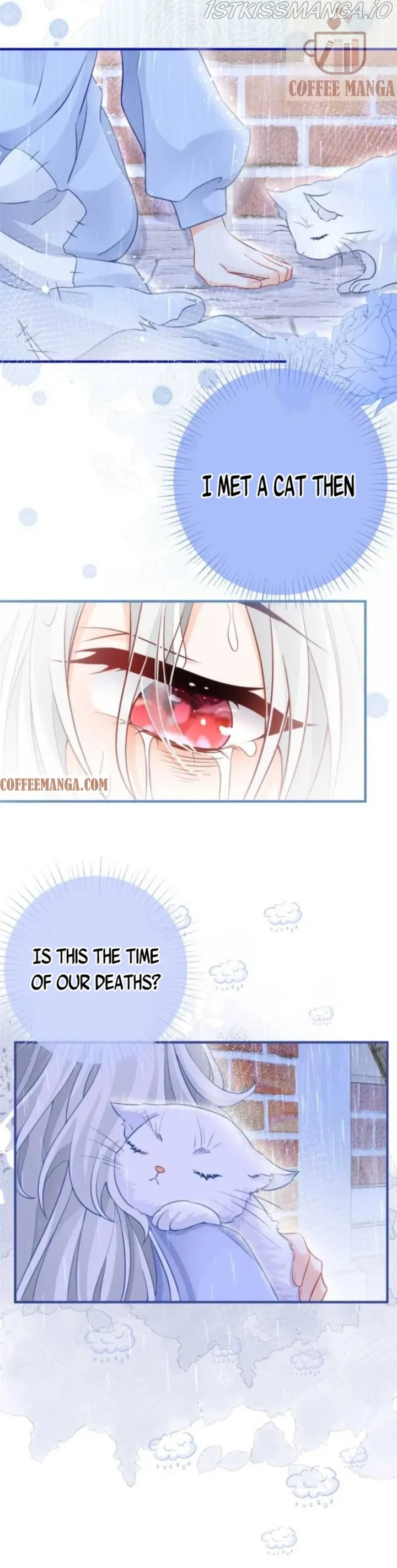I Became the Sacrificial Princess Chapter 6 page 6 - 