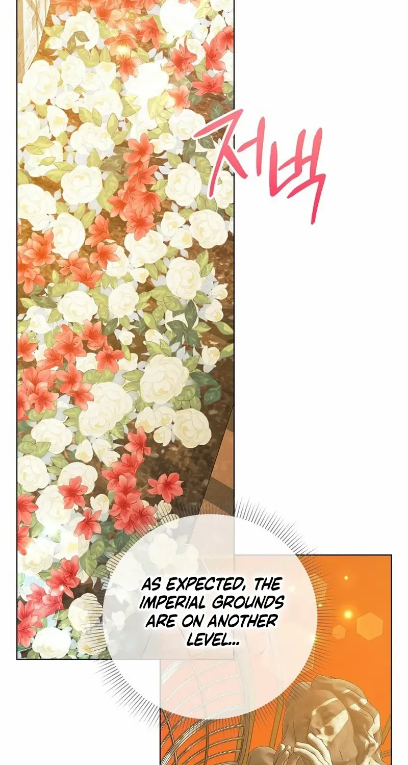 I Became the Servant That Was Obsessed by the Crown Prince Chapter 15 page 71 - 