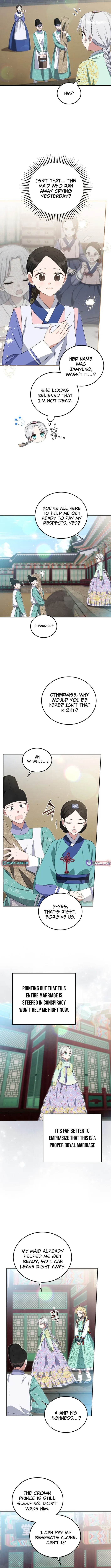I Became the Terminally Ill Princess With No Tomorrow Chapter 11 page 7 - 
