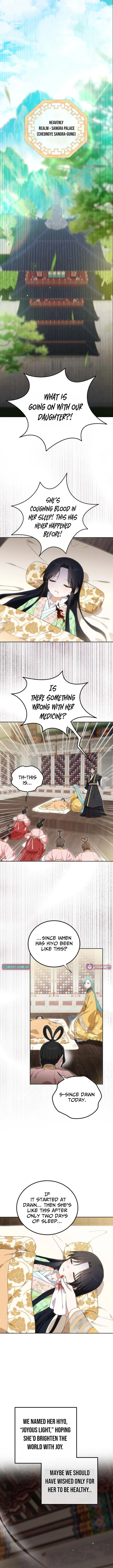 I Became the Terminally Ill Princess With No Tomorrow Chapter 17 page 9 - 