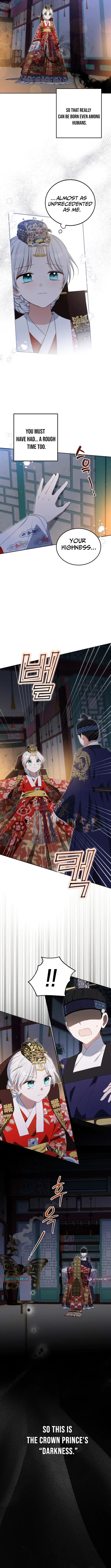 I Became the Terminally Ill Princess With No Tomorrow Chapter 8 page 7 - 