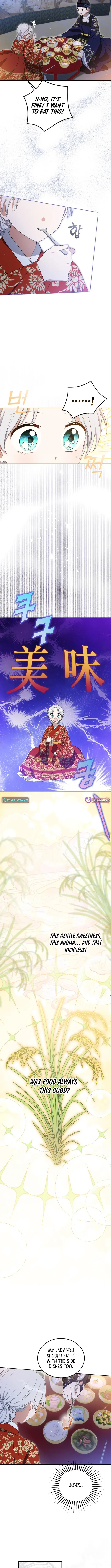 I Became the Terminally Ill Princess With No Tomorrow Chapter 9 page 11 - 