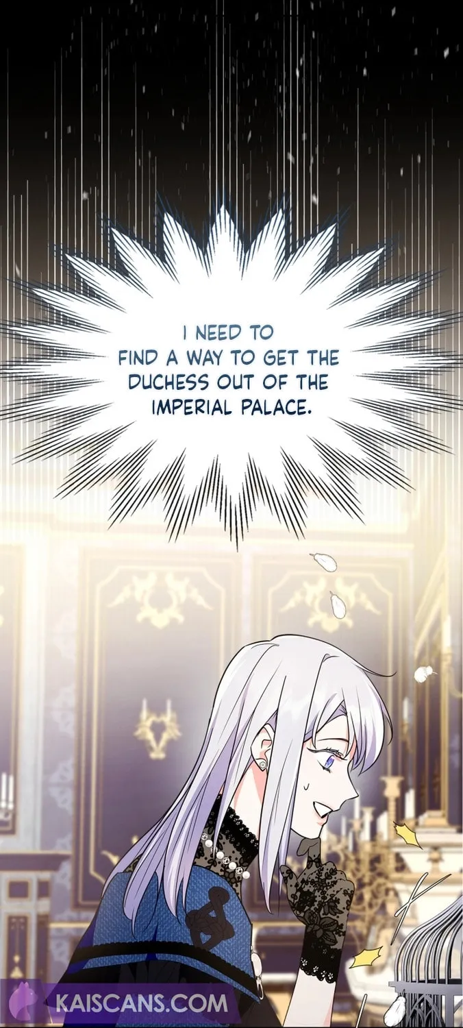 I Became the Tyrant