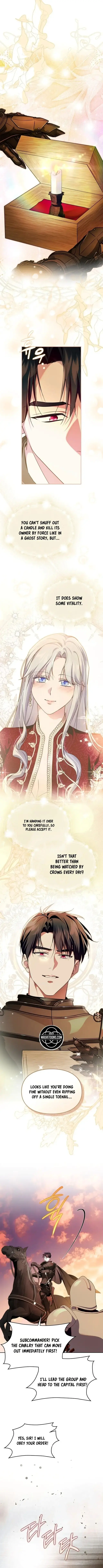 I Became the Tyrant’s Servant Chapter 103 page 11 - 