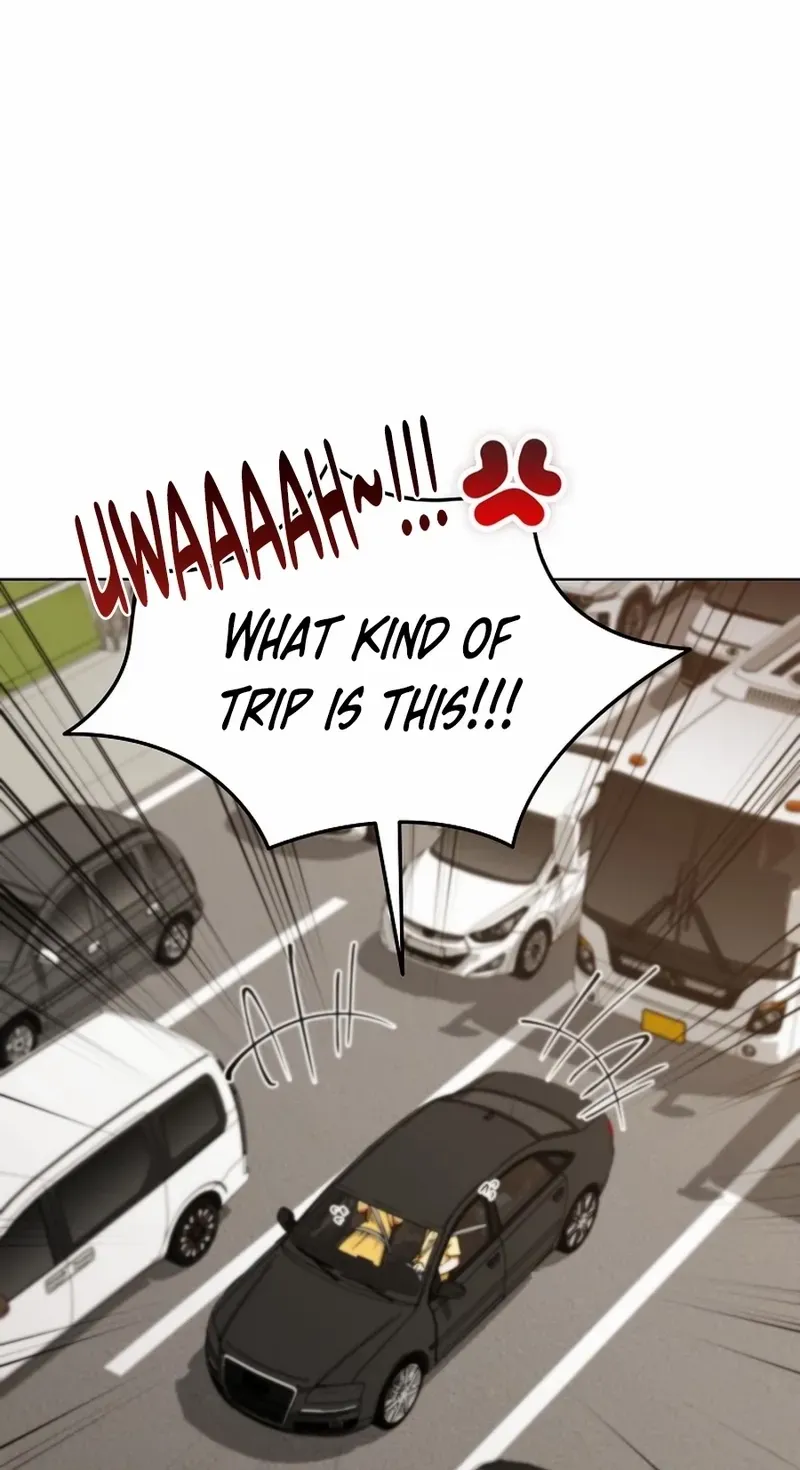 I Became The Villain The Hero Is Obsessed With Chapter 15 page 61 - 