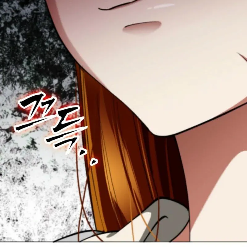 I Became The Villain The Hero Is Obsessed With Chapter 19 page 68 - 