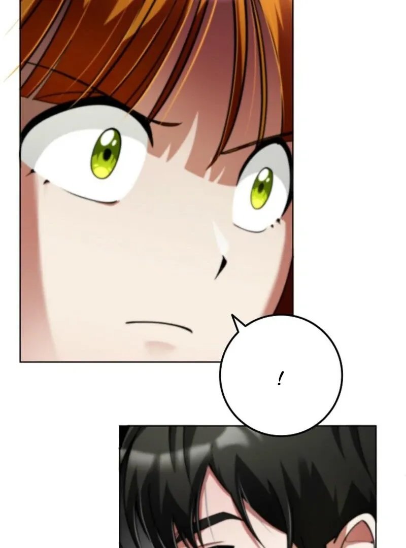 I Became The Villain The Hero Is Obsessed With Chapter 20 page 68 - 