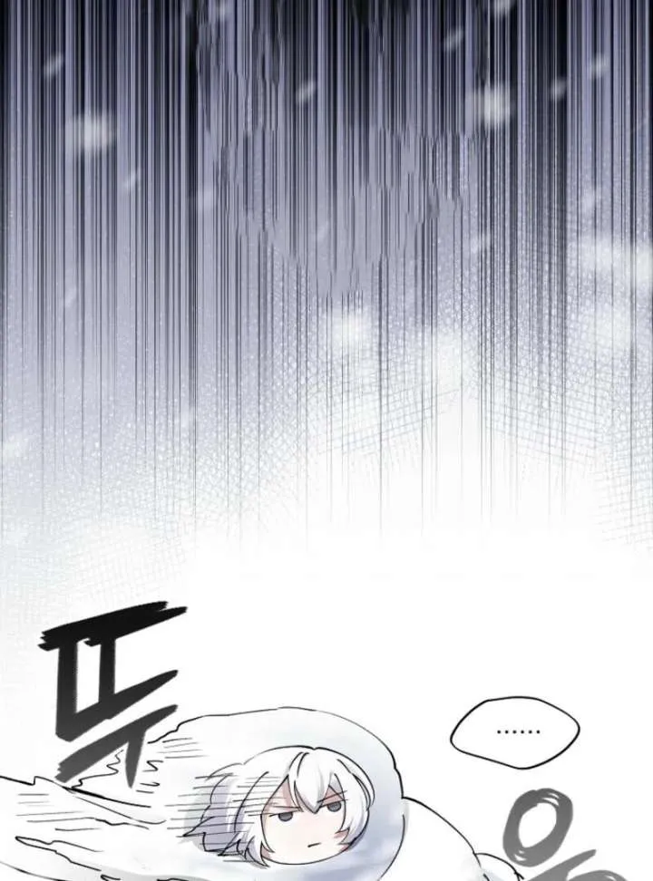 I Became The Villain The Hero Is Obsessed With Chapter 25 page 28 - 