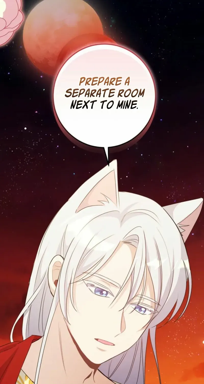 I Became the Wicked Beastman’s Catnip Chapter 1 page 82 - 
