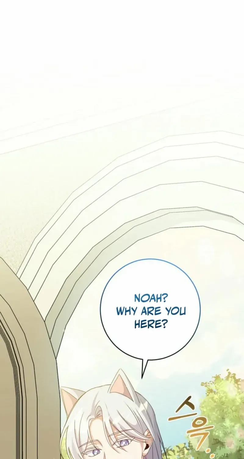 I Became the Wicked Beastman’s Catnip Chapter 2 page 18 - 