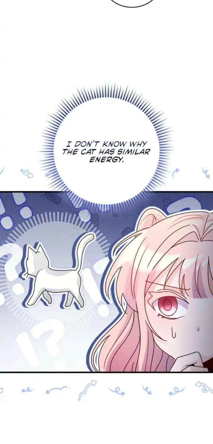 I Became the Wicked Beastman’s Catnip Chapter 39 page 65 - 
