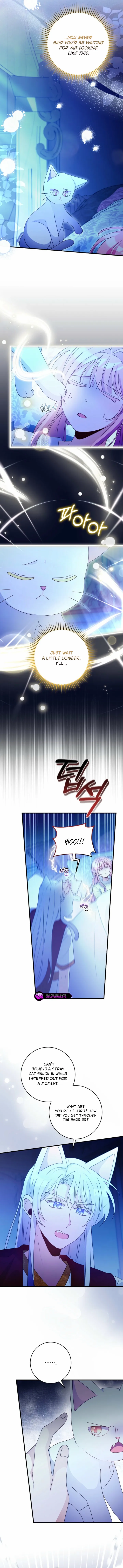 I Became the Wicked Beastman’s Catnip Chapter 45 page 2 - 