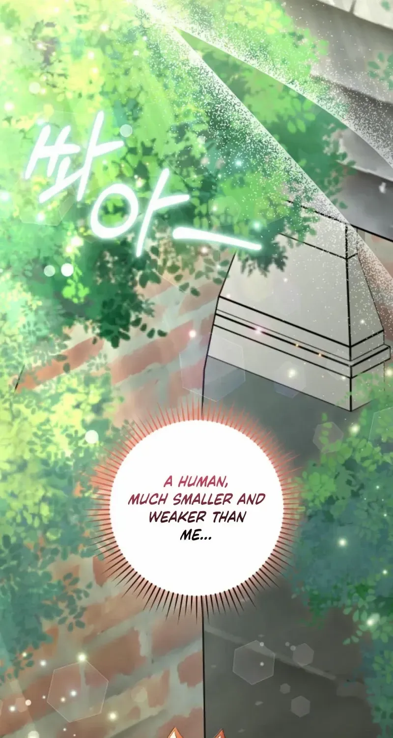 I Became the Wicked Beastman’s Catnip Chapter 9 page 14 - 
