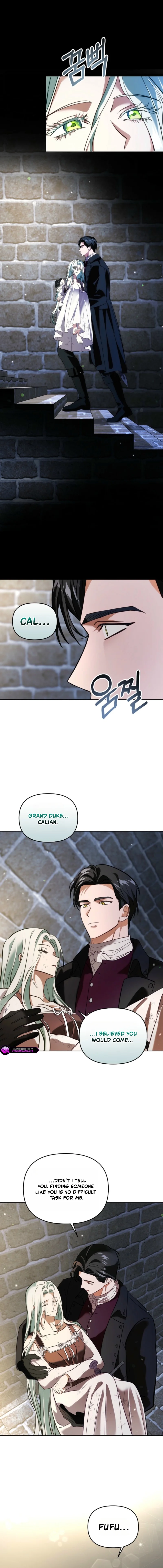 I Became The Wife Of The Cursed Grand Duke Chapter 6 page 15 - 